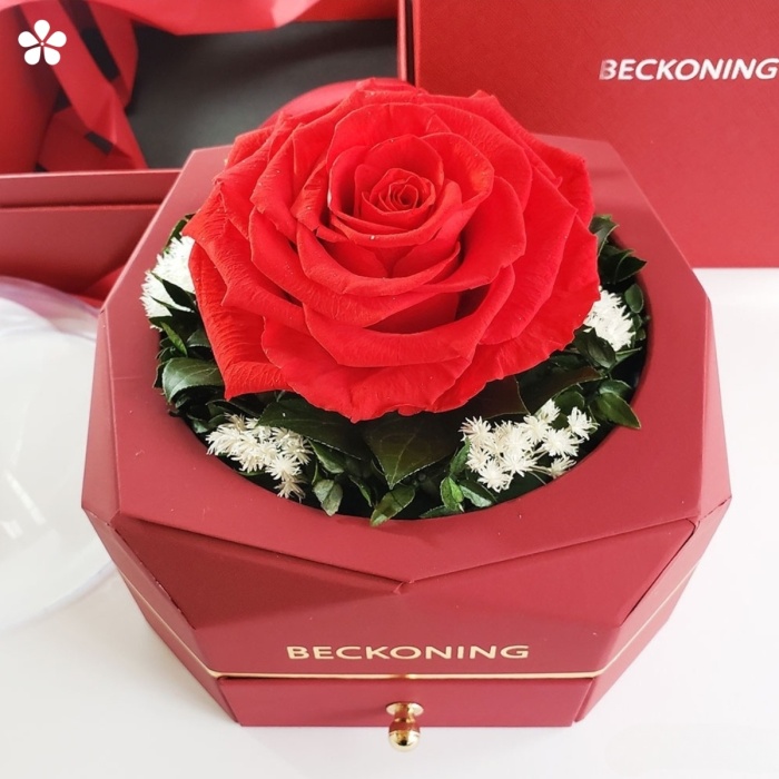 Rosa Encantada roja