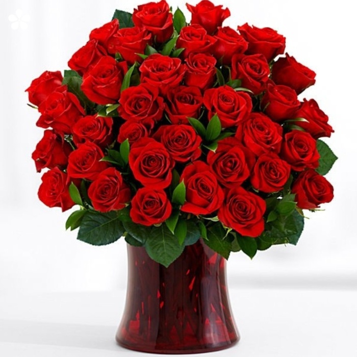 100 Rosas premium en florero de vidrio rojo