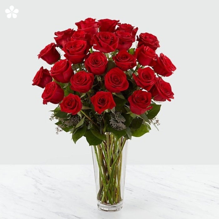 24 rosas premium rojas