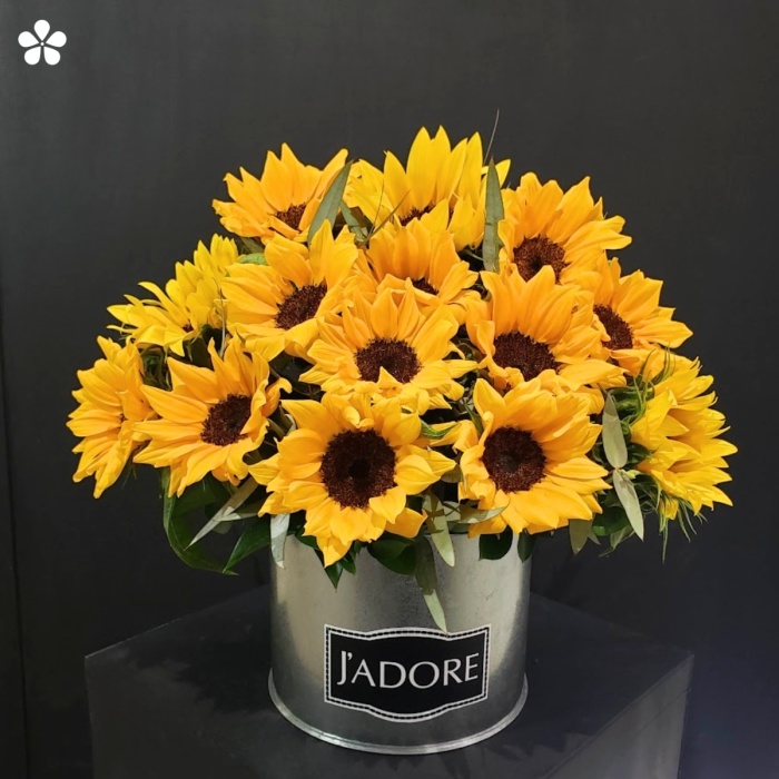 30 girasoles en moderno estuche metálico y detalles de eucalipto
