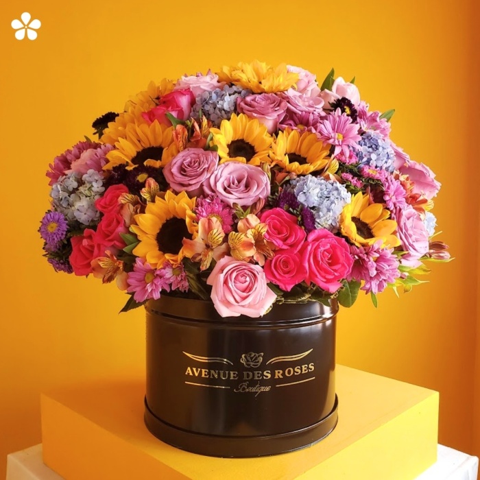 Armonía cautivadora de flores multicolores