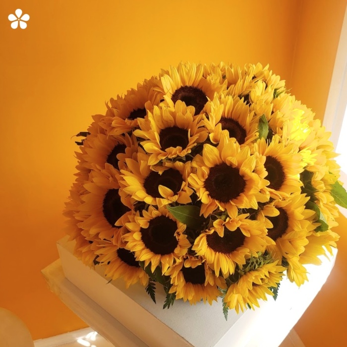 Alegres girasoles en fina talavera
