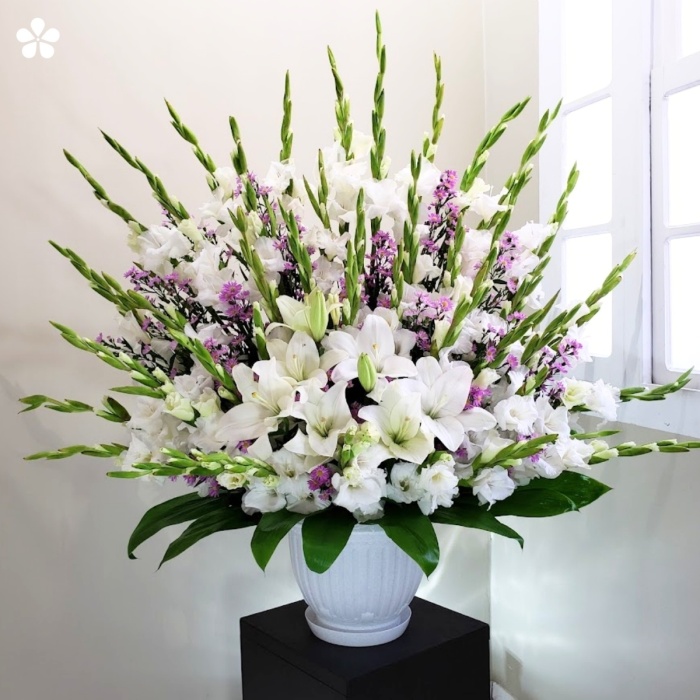 Gladiolas y margaritas en abanico