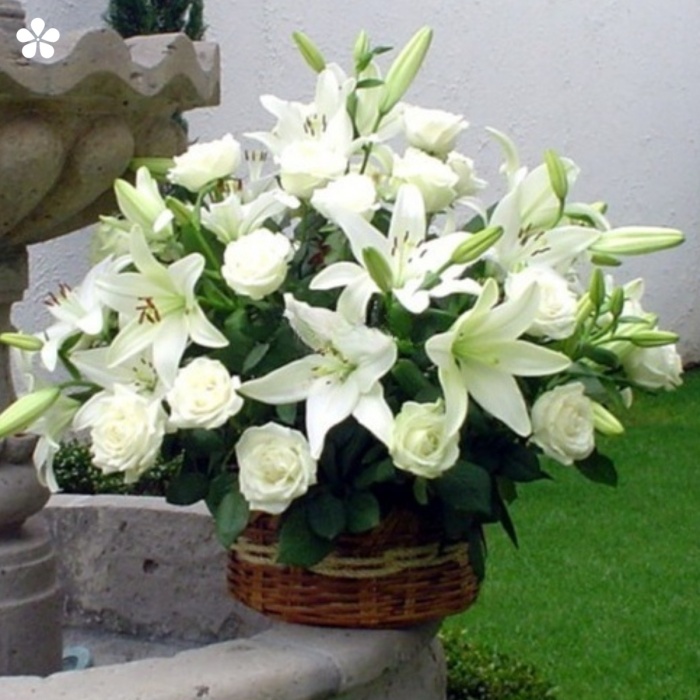 Canasta de vara con rosas premium y lilis