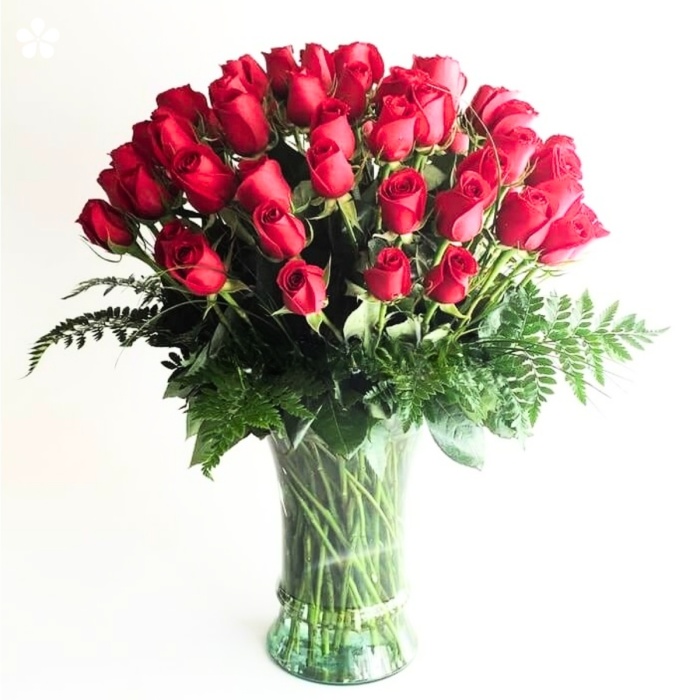 Clásicas rosas rojas