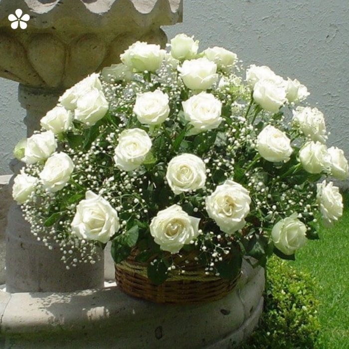 Arreglo de rosas para condolencias