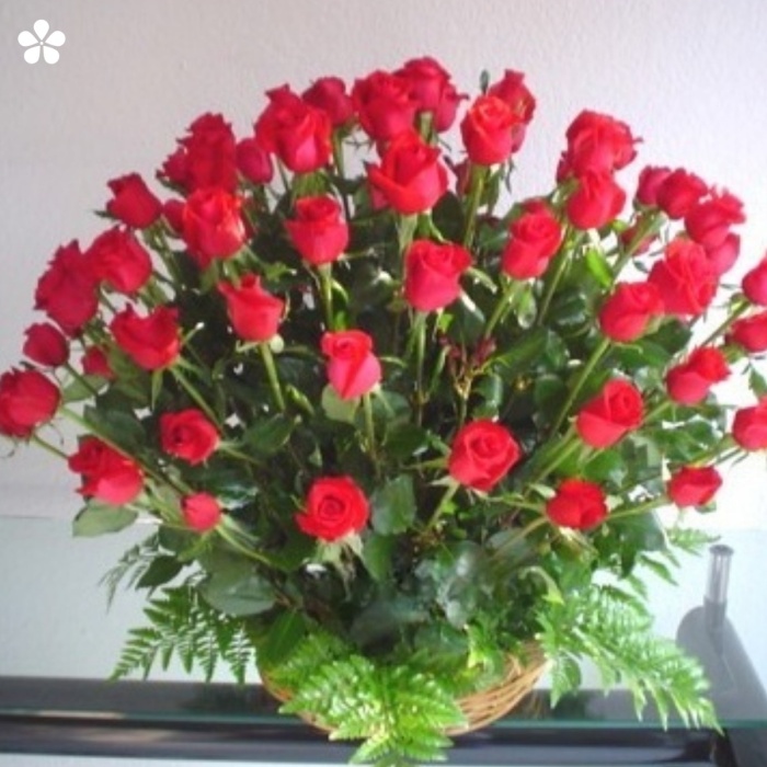 50 rosas en forma redonda