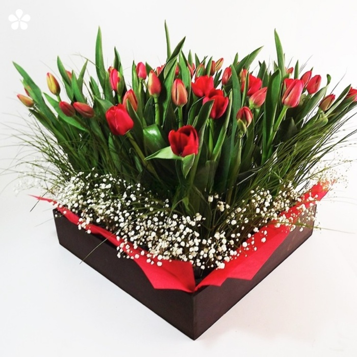 Jardinera color chocolate con tulipanes rojos