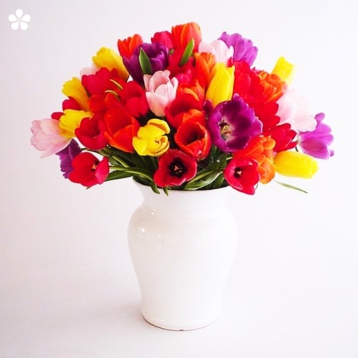 Tulipanes de colores en base de cerámica