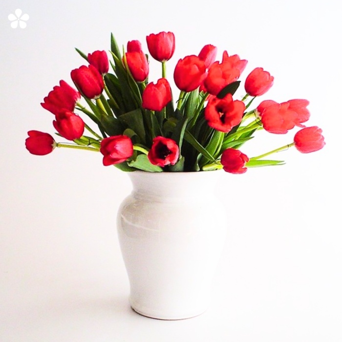 Tulipanes rojos en base de cerámica blanco