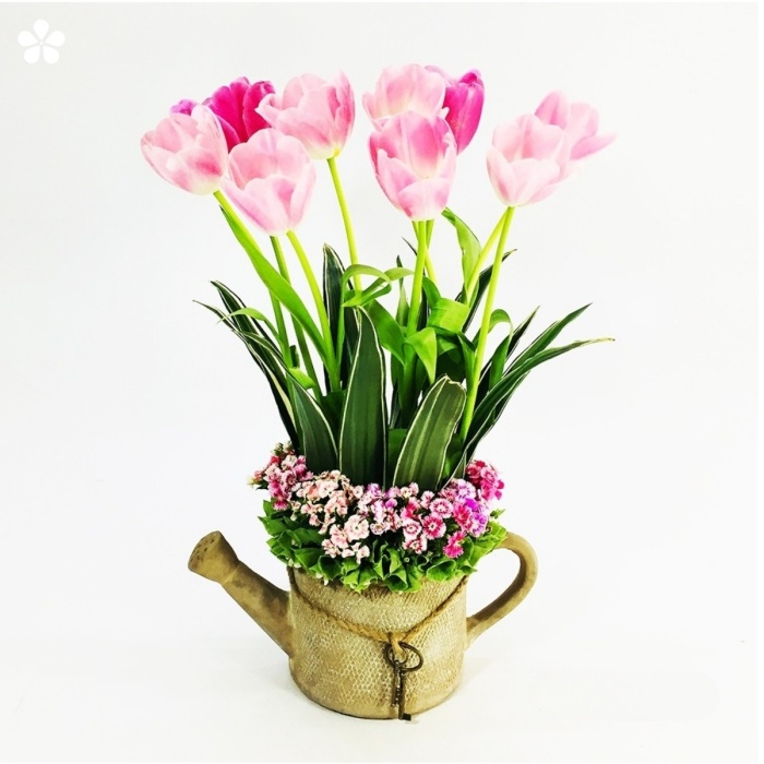 Tulipanes en base de regadera