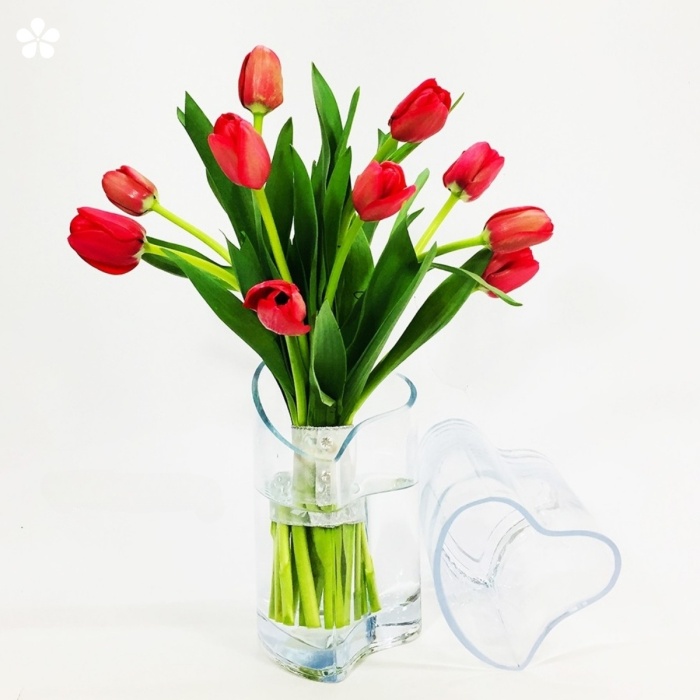Tulipanes en base de corazón cristalizado