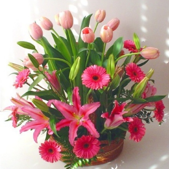 en tonos rosados de acapulcos, gerberas y tulipanes