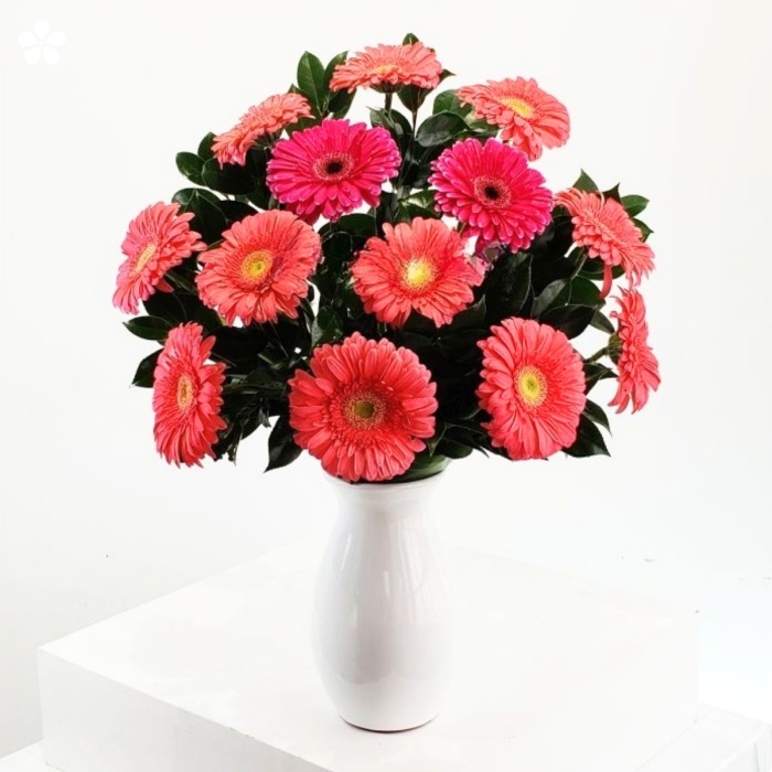 Florero cerámico de gerberas rosas
