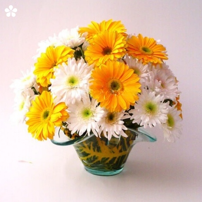 Canasta de cristal de gerberas y margaritas