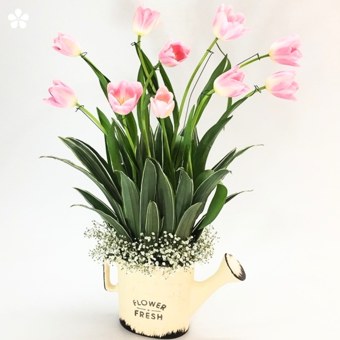 Tulipanes en regadera