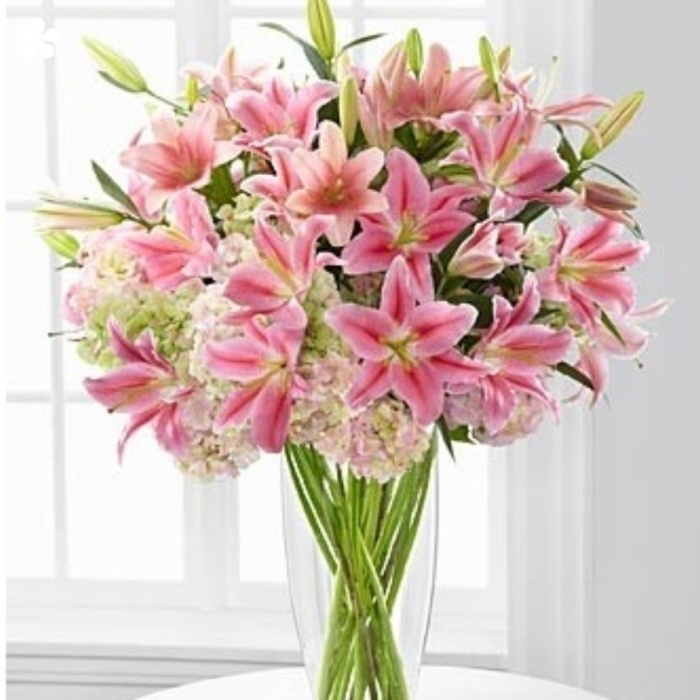 acapulcos y hortensias en hermoso florero