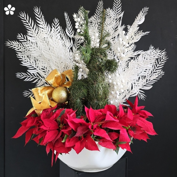 Encanto Navideño