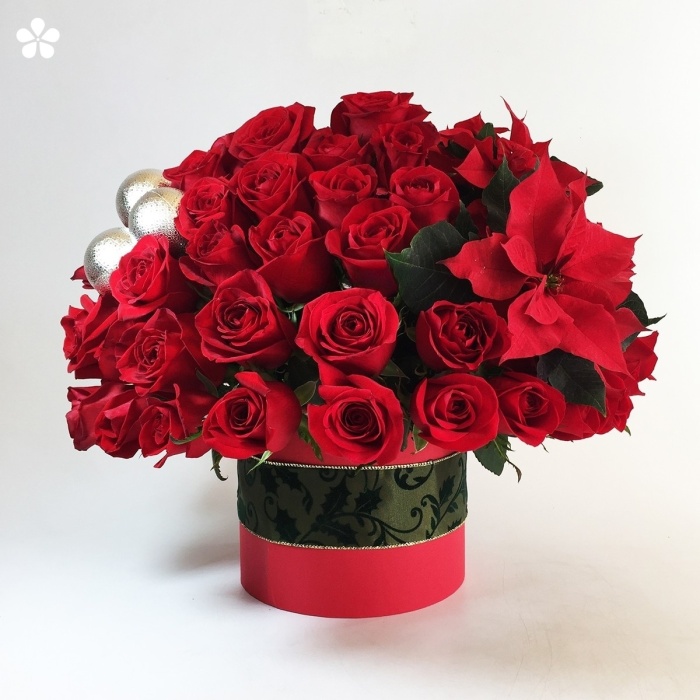 Rosas premium rojas navideñas