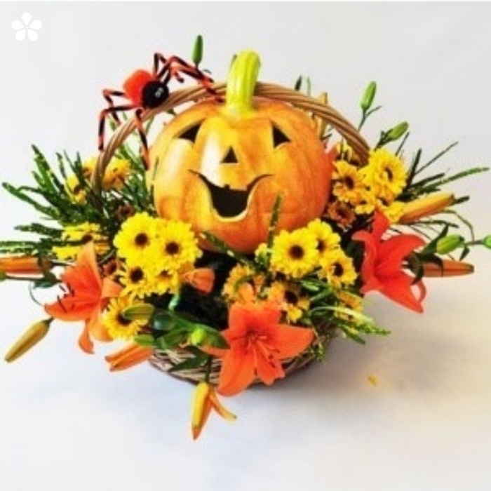 Calabaza rodeada de lilis y margaritas