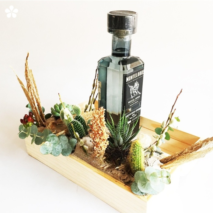 Suculentas en paisaje desértico y mezcal