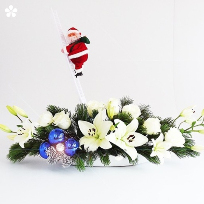 Santa Claus llegó a las flores
