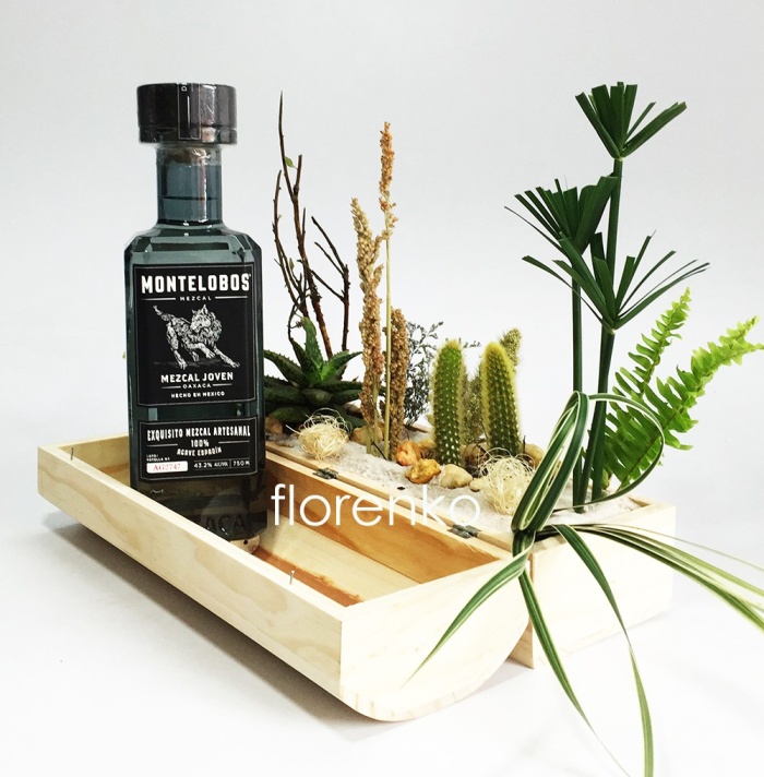 Cactus, maguey y suculentas en caja con mezcal