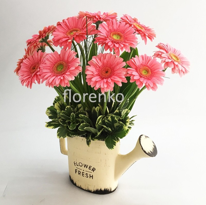 Gerberas en regadera vintage