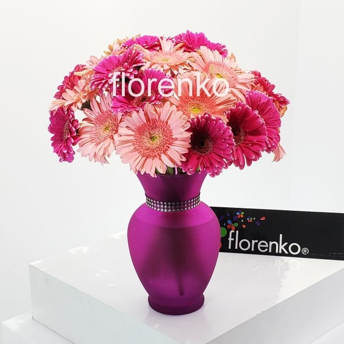 Gerberas en florero de vidrio morado con cinto de corsé