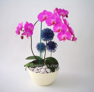 Base color arena con orquídea doble