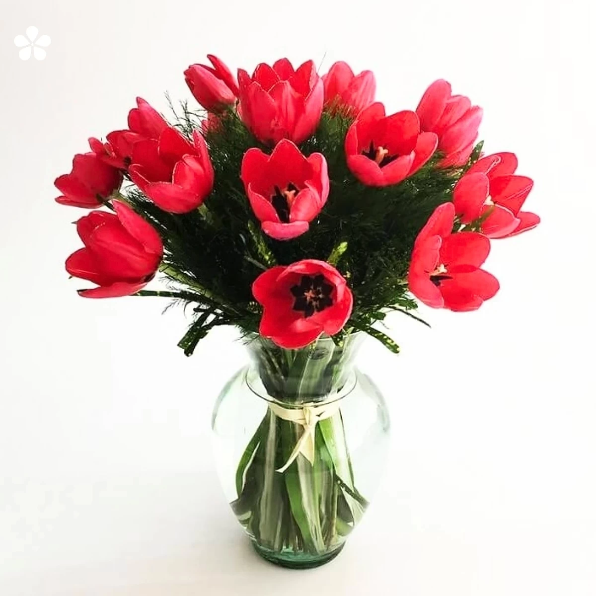 1847.jpg Scarlet charm - 20 tulipanes intensos - Imagen 1
